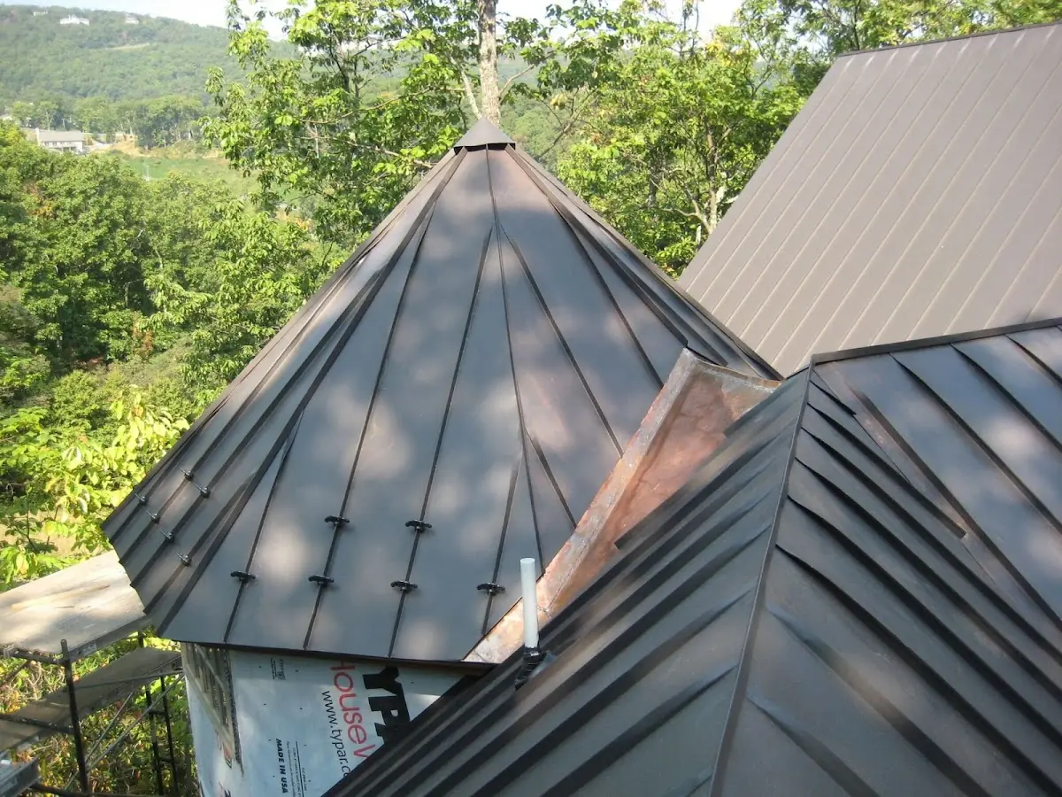 Professional Gutter Cleaning by Craftsman Roofing in Sunkist Park